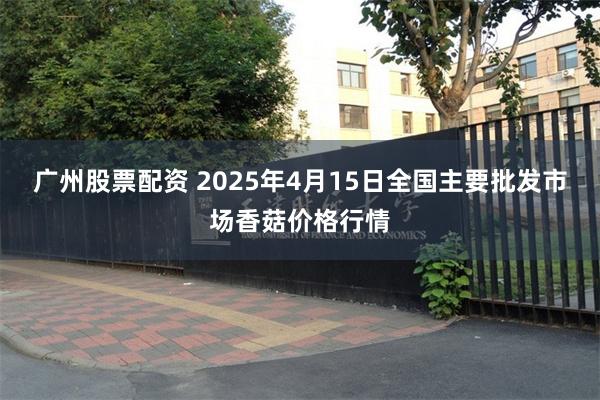 广州股票配资 2025年4月15日全国主要批发市场香菇价格行情