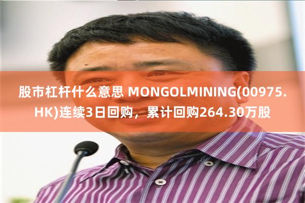 股市杠杆什么意思 MONGOLMINING(00975.HK)连续3日回购，累计回购264.30万股