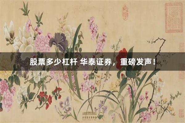 股票多少杠杆 华泰证券，重磅发声！
