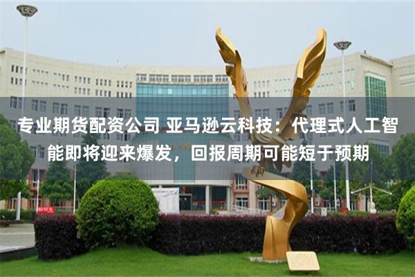 专业期货配资公司 亚马逊云科技：代理式人工智能即将迎来爆发，回报周期可能短于预期