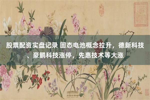 股票配资实盘记录 固态电池概念拉升，德新科技、豪鹏科技涨停，先惠技术等大涨