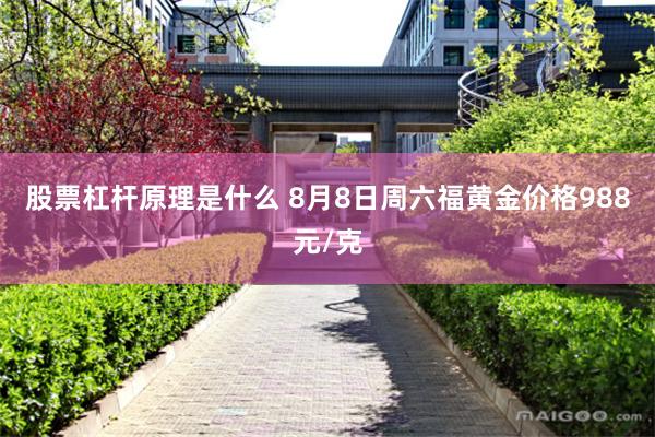 股票杠杆原理是什么 8月8日周六福黄金价格988元/克