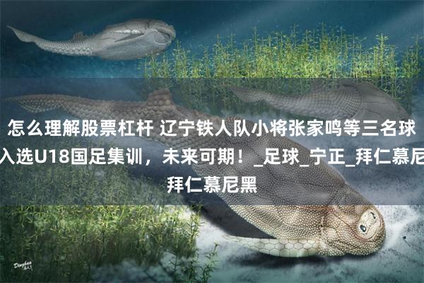 怎么理解股票杠杆 辽宁铁人队小将张家鸣等三名球员入选U18国足集训，未来可期！_足球_宁正_拜仁慕尼黑
