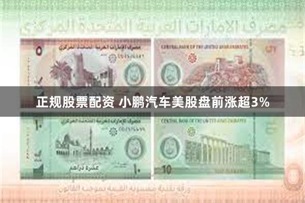 正规股票配资 小鹏汽车美股盘前涨超3%