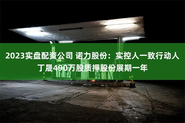 2023实盘配资公司 诺力股份：实控人一致行动人丁晟490万股质押股份展期一年