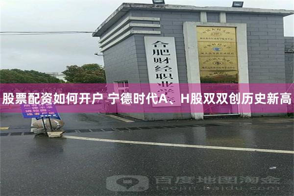 股票配资如何开户 宁德时代A、H股双双创历史新高